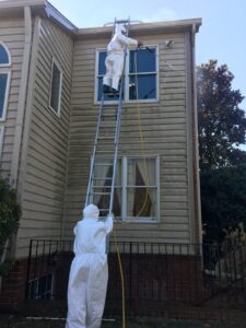 restoration projects