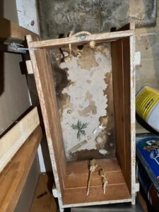 restoration projects